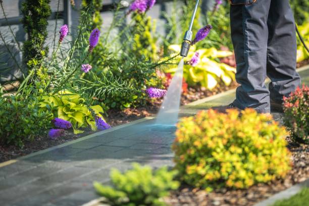 Best Driveway Pressure Washing  in San Marcos, TX